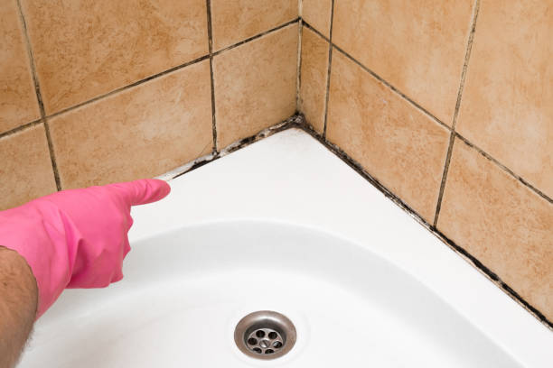 Water Damage Restoration in Greenbriar, VA